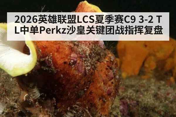2026英雄联盟LCS夏季赛C9 3-2 TL中单Perkz沙皇关键团战指挥复盘（jiuyou）